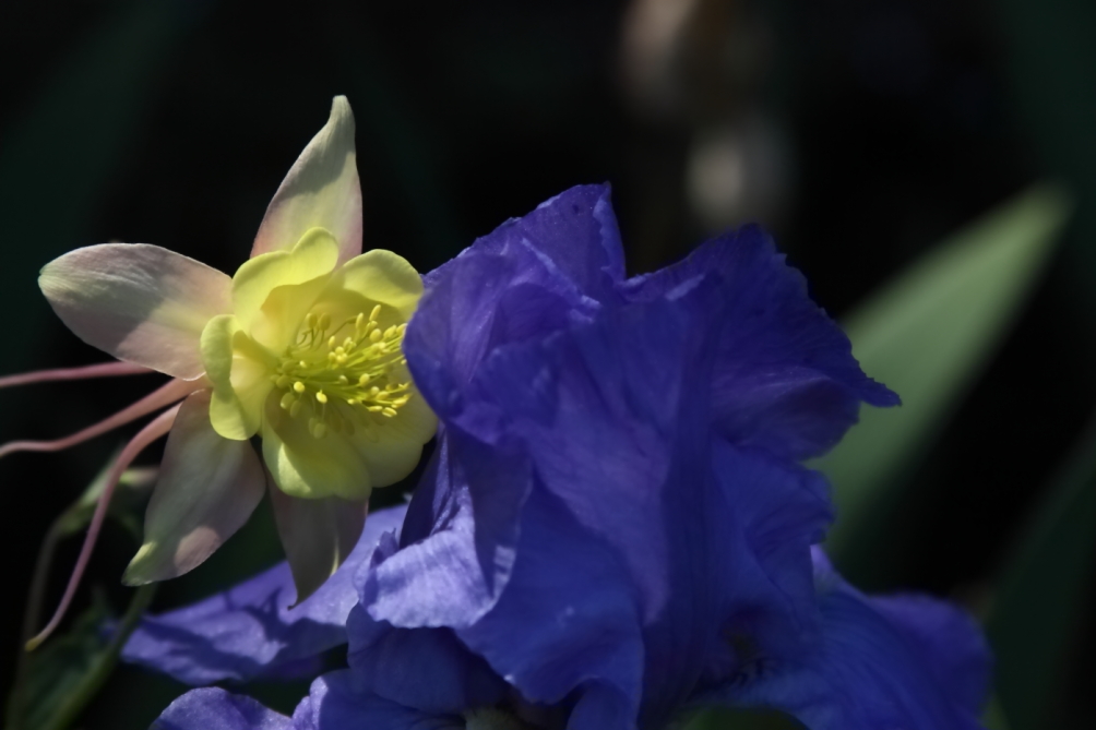 2012 05 20 3783